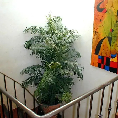Bed and Breakfast Chez Catherine Roquebrune-sur Argens